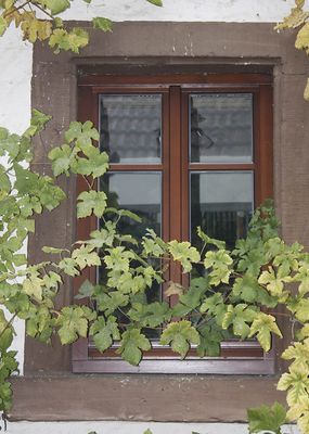 Fenster Denkmalschutz